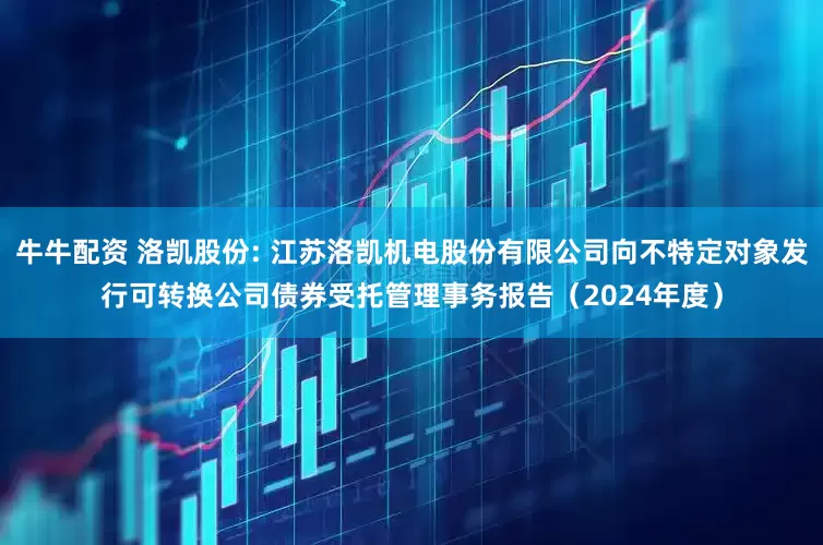 牛牛配资 洛凯股份: 江苏洛凯机电股份有限公司向不特定对象发行可转换公司债券受托管理事务报告（2024年度）