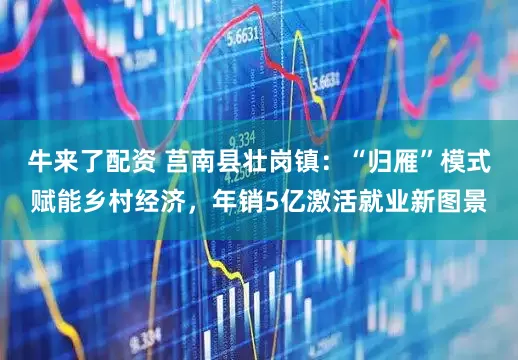 牛来了配资 莒南县壮岗镇：“归雁”模式赋能乡村经济，年销5亿激活就业新图景
